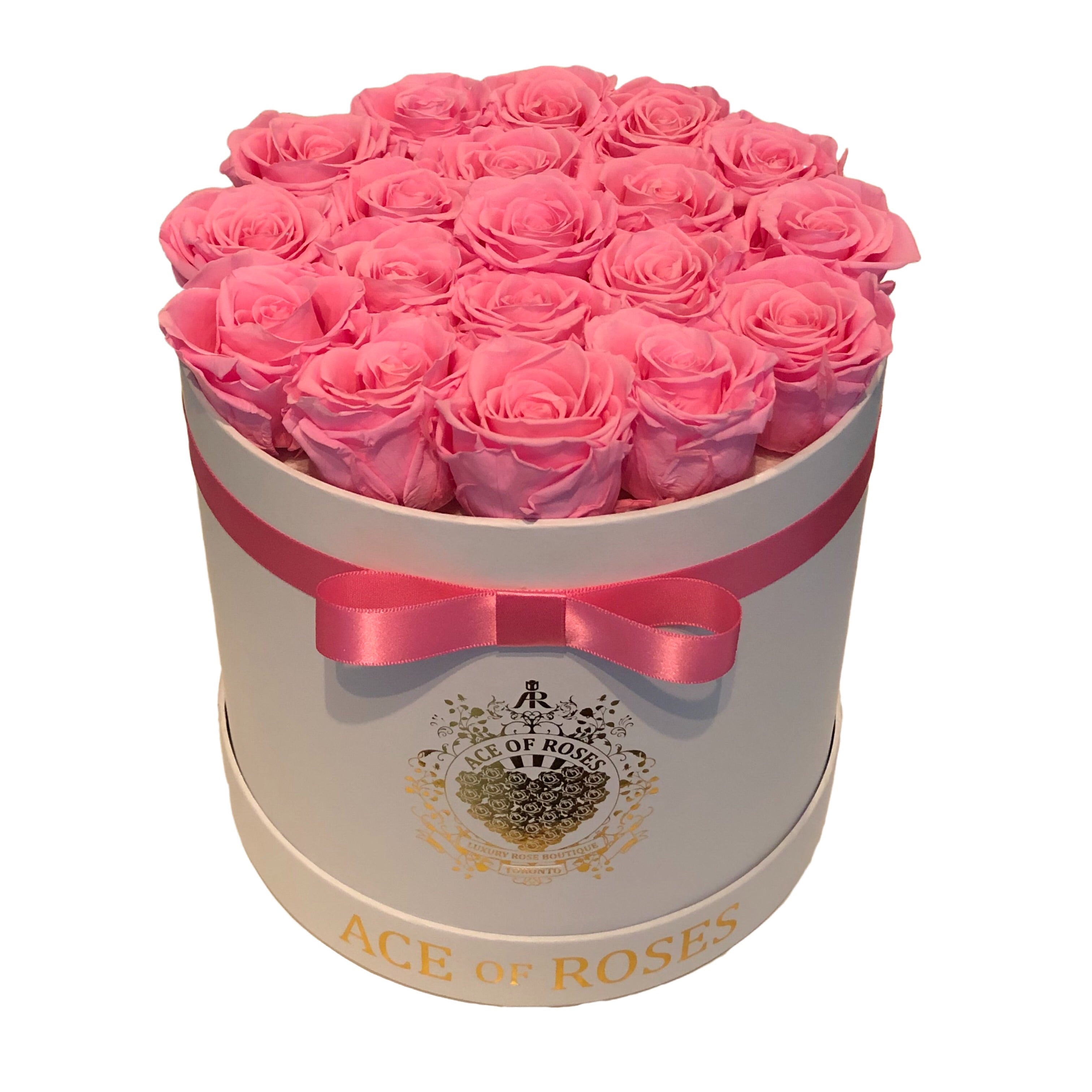 Light Pink Eternity Roses Ace of Roses