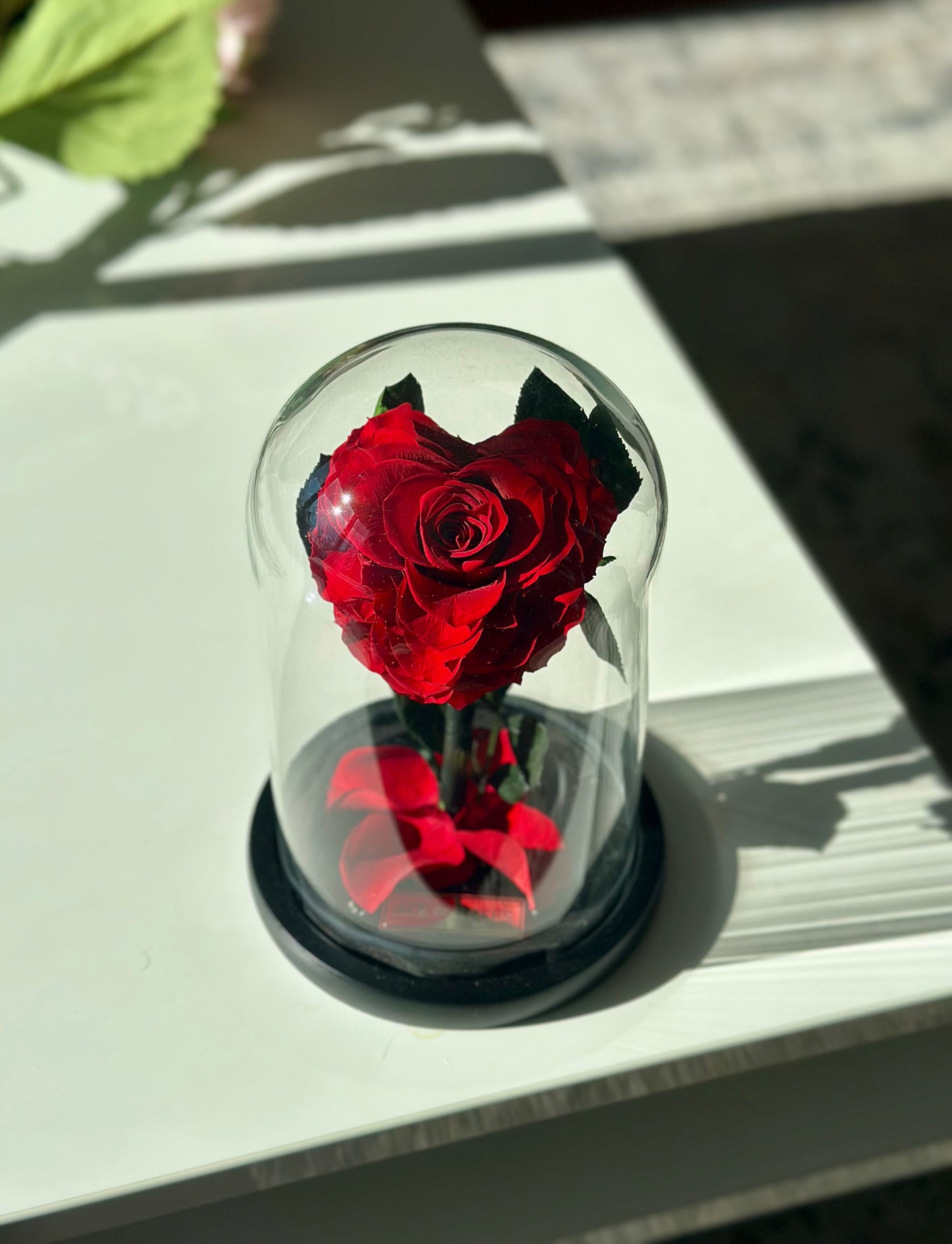 Heart Glass Dome